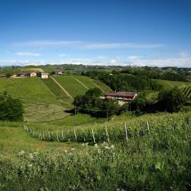 Cascina Speronetti