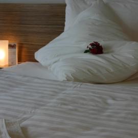 Ferienhof Dittrichs Erben, hotell i Radebeul