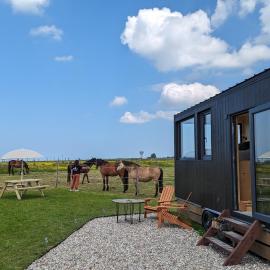 Tiny House La Cavalerie, au milieu des chevaux !