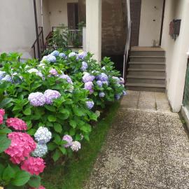 Apartment Santa Maria, hotel a Bolsena