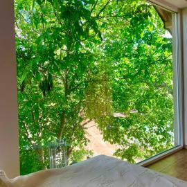 Apartament orzechowy superior