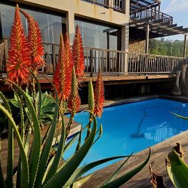 4 Dolphin Views La Mercy Luxury Beachfront Apartment with Private Swimming Pool, hotel i La Mercy