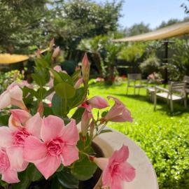 Residence Da Carmelo, hotell i Palinuro