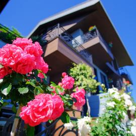 Peerless Villas Hotel, hotel em Trabzon