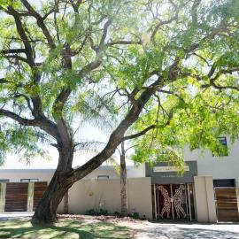 Art and Accommodation Guesthouse