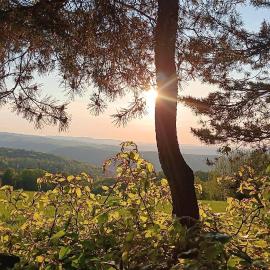 Ferienwohnung Saalfeld - Sommerfrische Burkersdorf