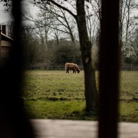 Honeywood Farm Cabins, hotel in Woodham Ferrers
