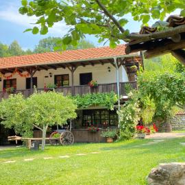 Konak Tosa, hotel in Poganovo
