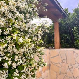 Le Tre Rose, hotel v destinácii Maratea