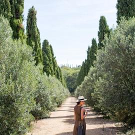 Seigneurie de Peyrat, hotel v destinácii Pézenas
