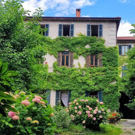 Casa Romano