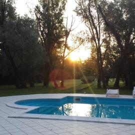 La DOGARESSA