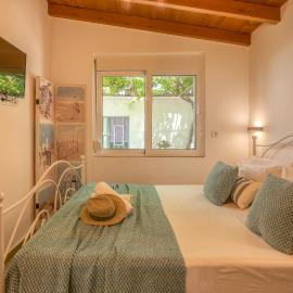 Vitis Vinifera Tranditional Studio Apartment