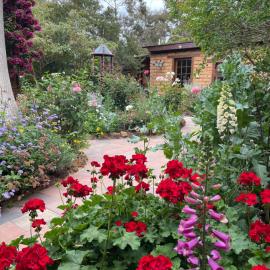 Patricias Garden Studio, Hotel in Witchcliffe