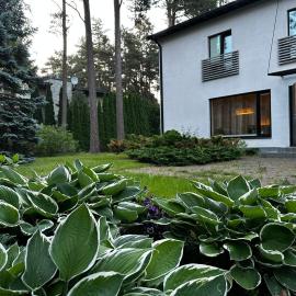 Pirita Beach Villa, hotel v Tallinnu
