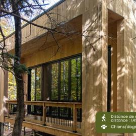 Cabin Zoobox 62, hotel di Eastman