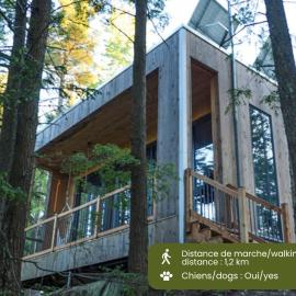Cabin Zoobox 66, hotel di Eastman