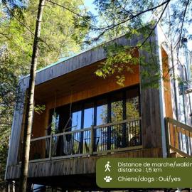 Cabin Zoobox 81, hotel u gradu 'Eastman'