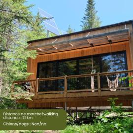 Cabin Zoobox 89, hôtel à Eastman