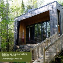 Cabin Zoobox des cervidés