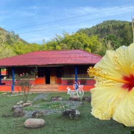 BRISAS DEL RIO SALENTO, hotel Salentóban