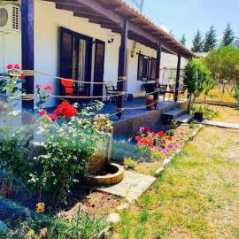 Villa Alva