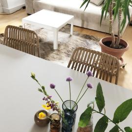 Friedas Haus - Ferienwohnung Nähe Golfplatz, hotel a Blankenhain