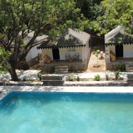 The chocolate frog, Hotel in Udaipur