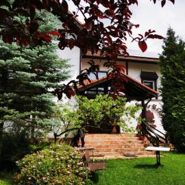 Pensiunea Muntele Rece, hotel in Bran