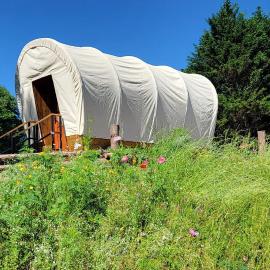 Covered Wagons Hill Camp - WAGON 2, hotel in Lenoir