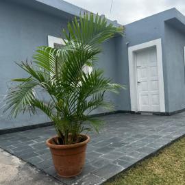 Cordon del Velazco, hotell i Anillaco