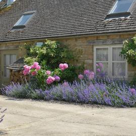 Cope Cottage, hotel v mestu Bruern