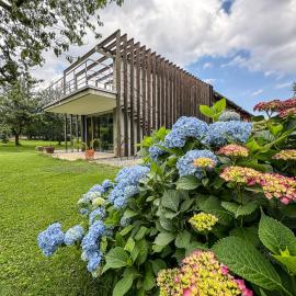 Casa Levis, hotel en Biella