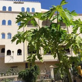 Hammam Antistress, hotel v destinácii Sousse