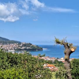 Querce vista mare