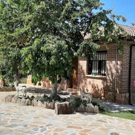Entre Viñedos, hotel in Fuentenebro