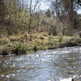 Zen Experience including Yoga & Healthy food, hotel em Ladern-sur-Lauquet