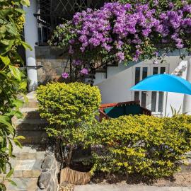 Captain's Quarters Studio, hotel in Palmyre