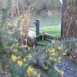 the reedy cabin, hotel in Bexley