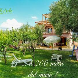 Fili d'Erba Cilento