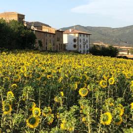 Migueltxoenea, hotel in Lácar