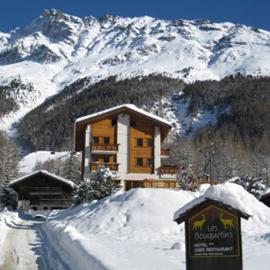 Hôtel Garni Les Bouquetins, hotel Zinalban