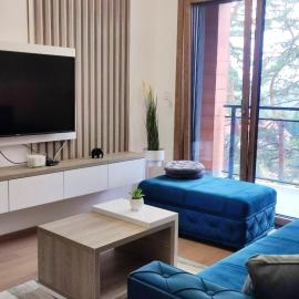 Apartman Bojic Zlatibor – hotel w mieście Palisat