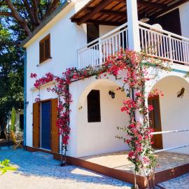 Holiday house Pinus Pinea