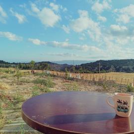 Kuzine Garden, Hotel in Pamukkale