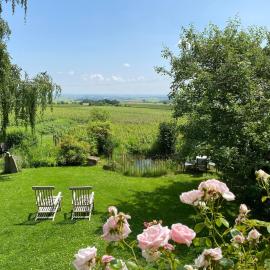 Traumblick Rebenmeer, hotel u gradu Gleisweiler