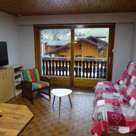 Studio haute savoie"LE WAPITI"