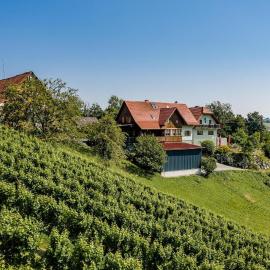 Weingut Juritsch, hotel in Leutschach