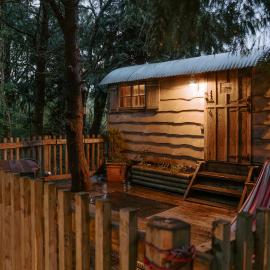 Llethrau Forest & Nature Retreats، فندق في نايتون