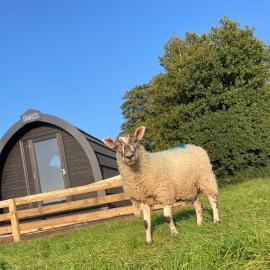 Cow Pasture Pod, hotel in Whitby